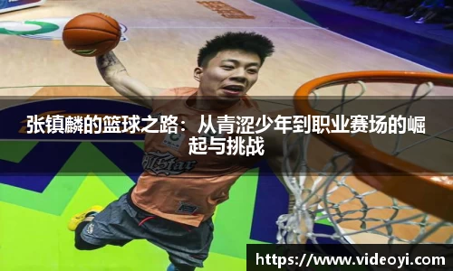张镇麟的篮球之路:从青涩少年到职业赛场的崛起与挑战