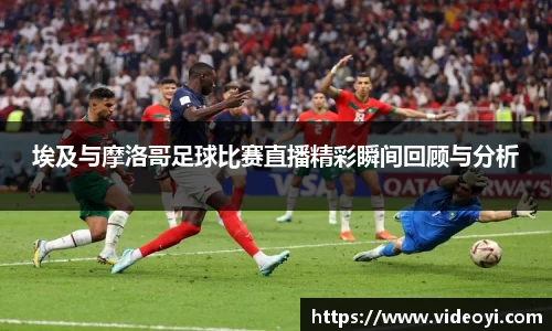 新足球直播在线观看