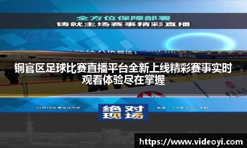 新足球直播在线观看