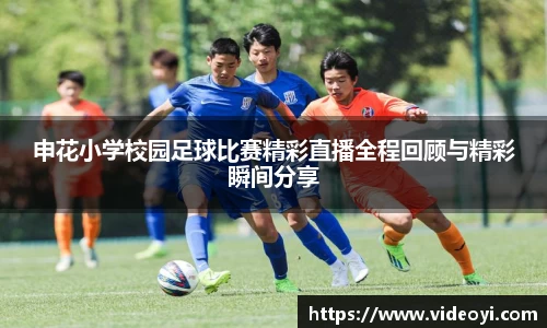 新足球直播在线观看