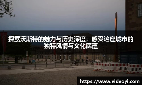 新足球体育直播