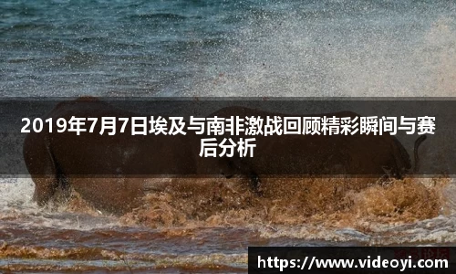 新足球体育直播